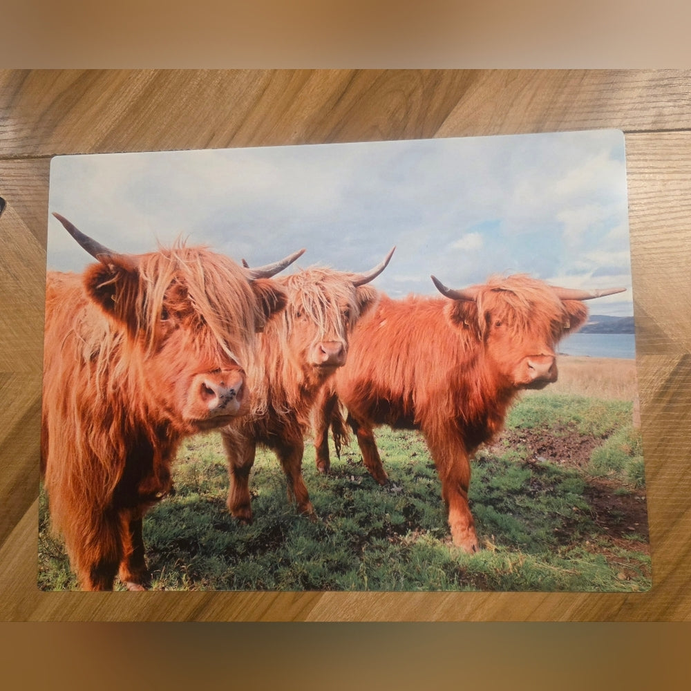 Highland Cattle Art Print 12×16