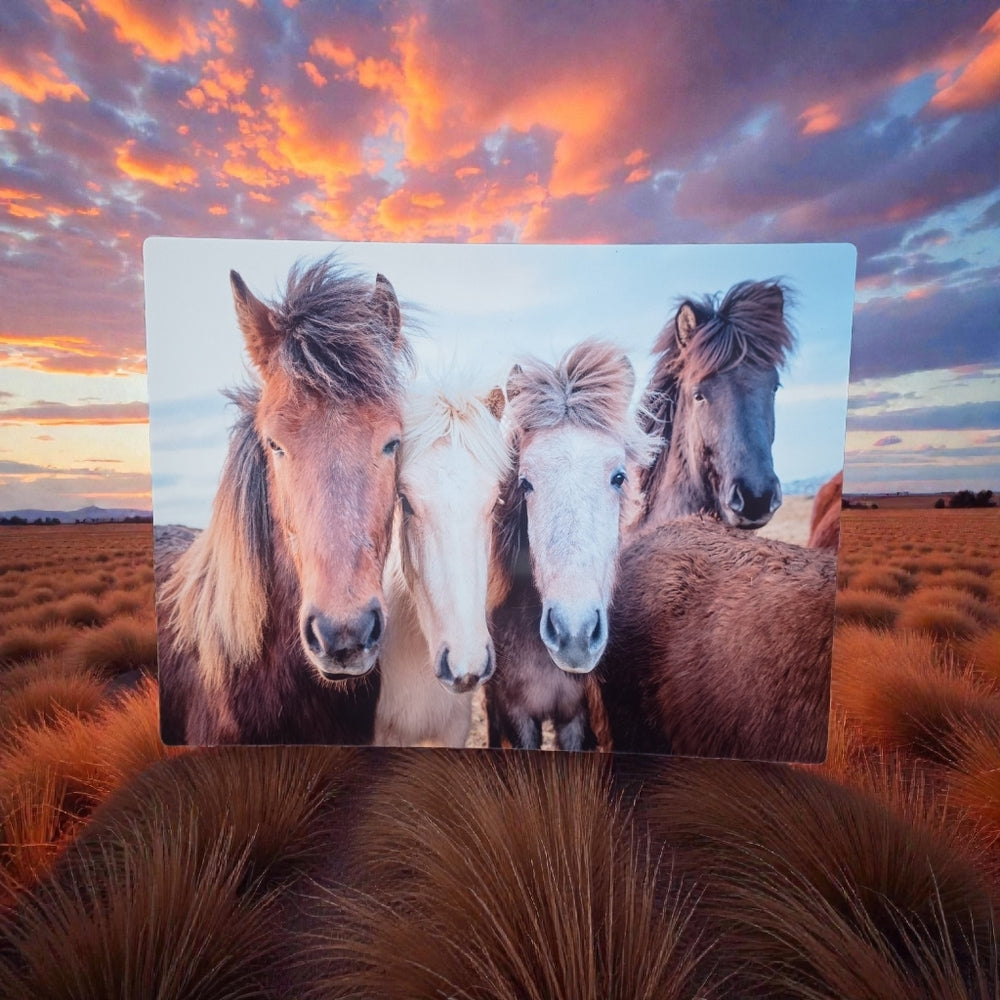 Horse Art Print with Colorful Sky 12×16