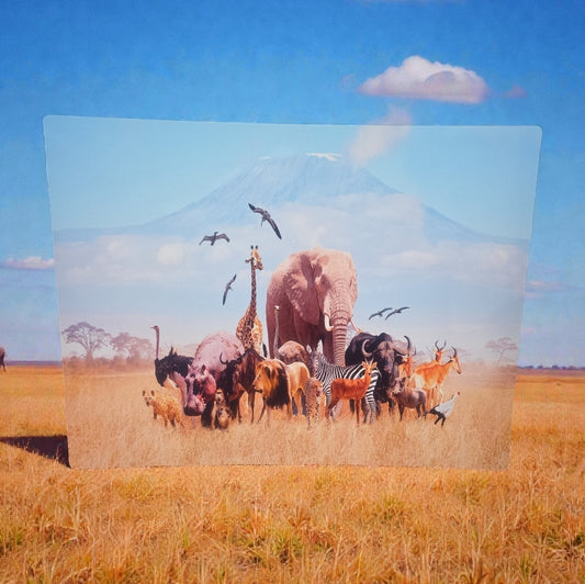 Wildlife Safari God's Creation Art Print 12×16